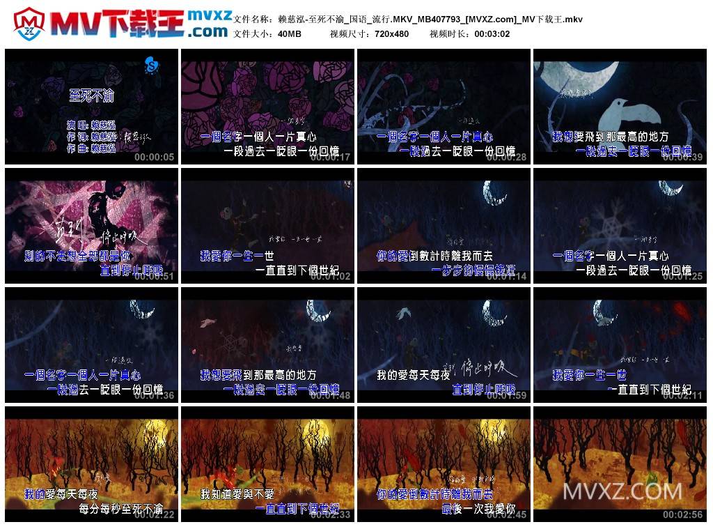 赖慈泓-至死不渝_国语_流行.MKV_MB407793